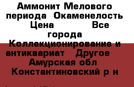 Аммонит Мелового периода. Окаменелость. › Цена ­ 2 800 - Все города Коллекционирование и антиквариат » Другое   . Амурская обл.,Константиновский р-н